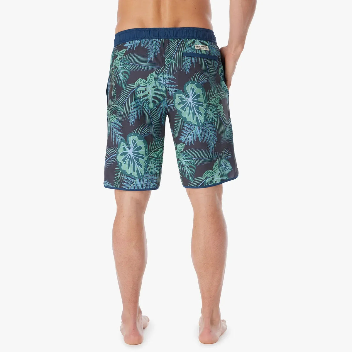 The Anchor | Navy Evergreen