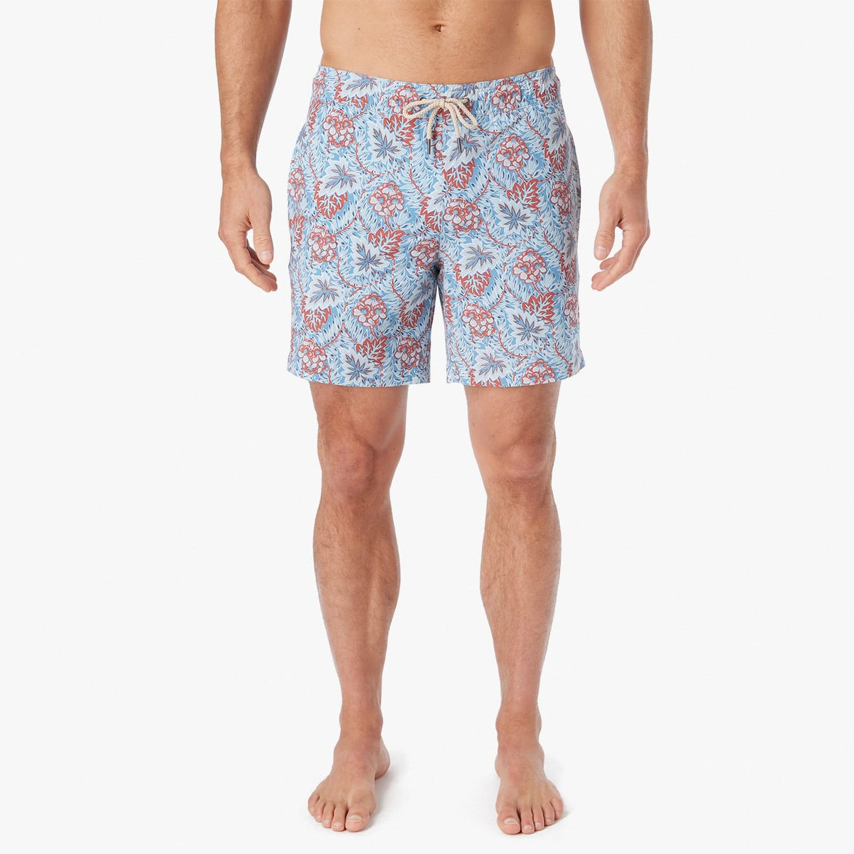 The Bayberry Trunk | Sky Blue Beach Forest