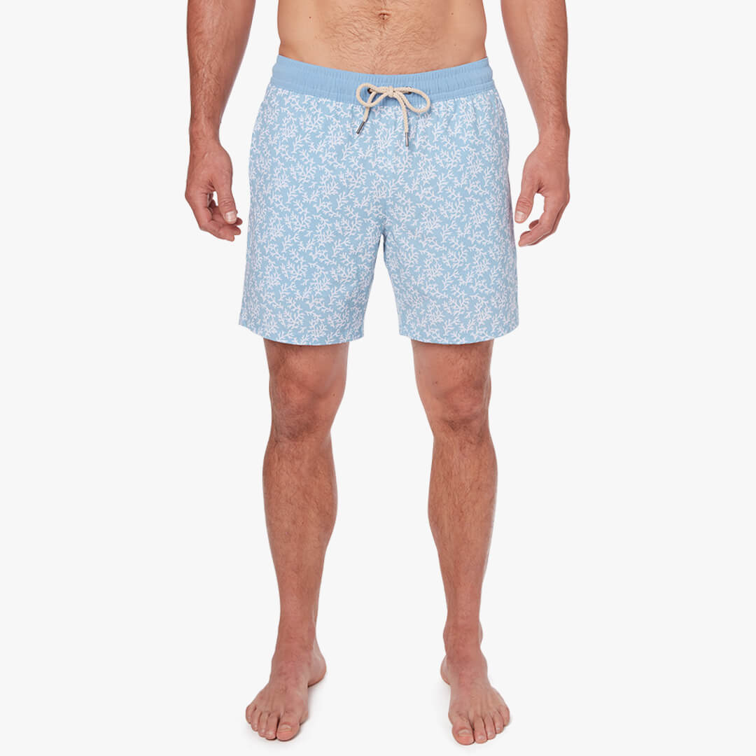The Bayberry Trunk | Mist Seaweed