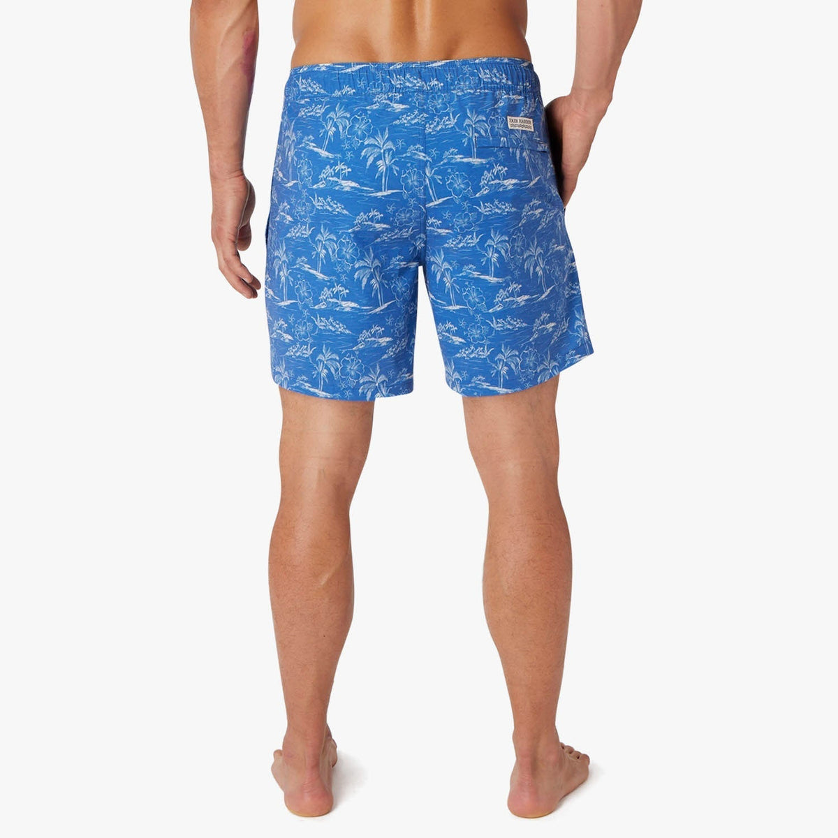 The Bayberry Trunk | Blue Island Hopper