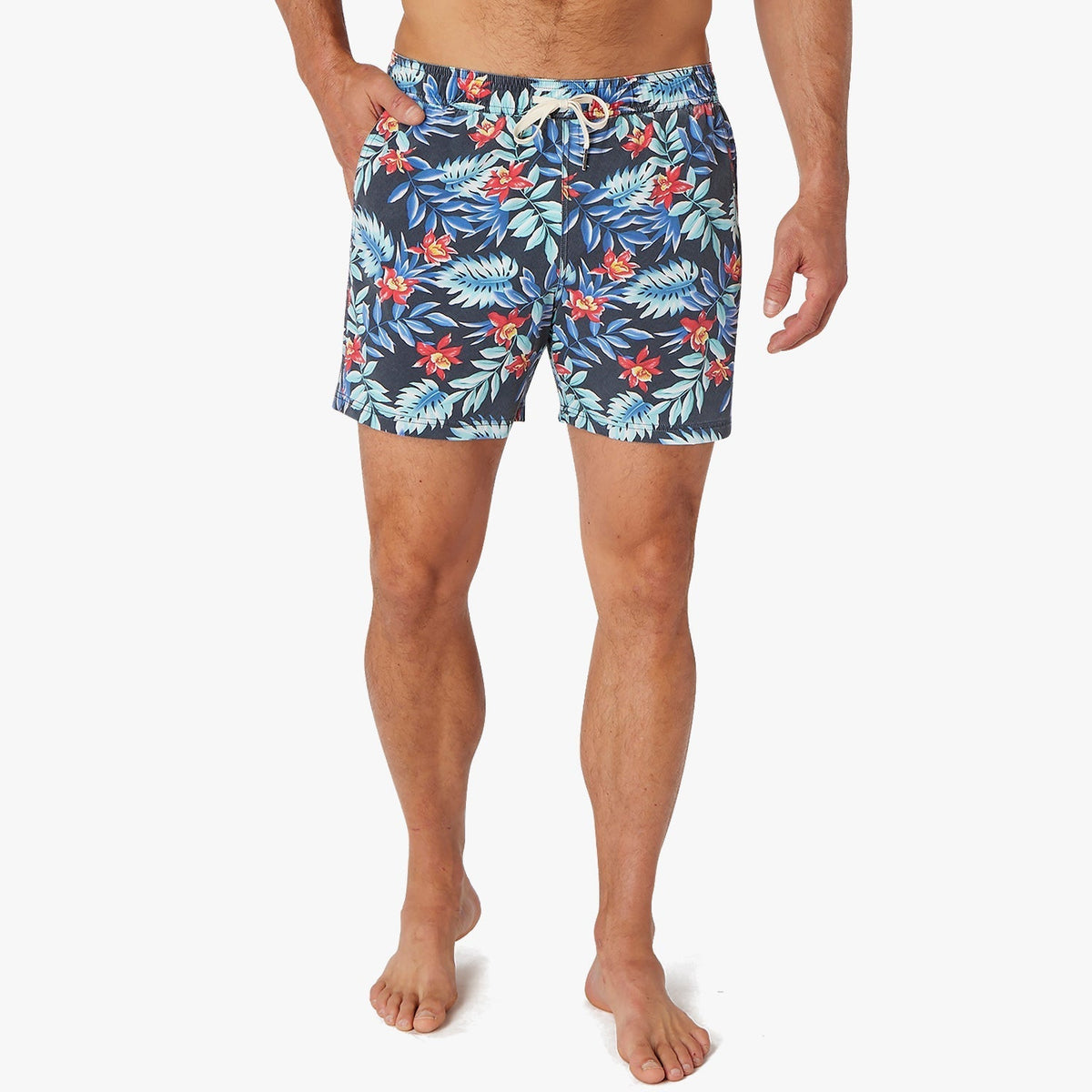 The Bungalow Trunk | Midnight Palms