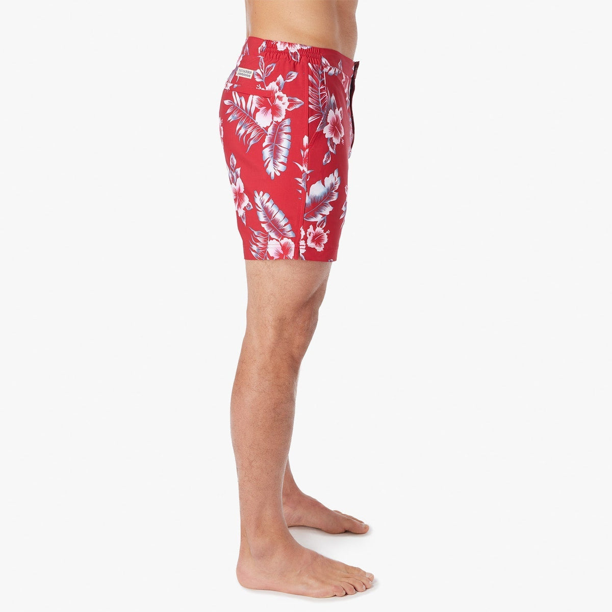 The Sextant Trunk | Red Hibiscus