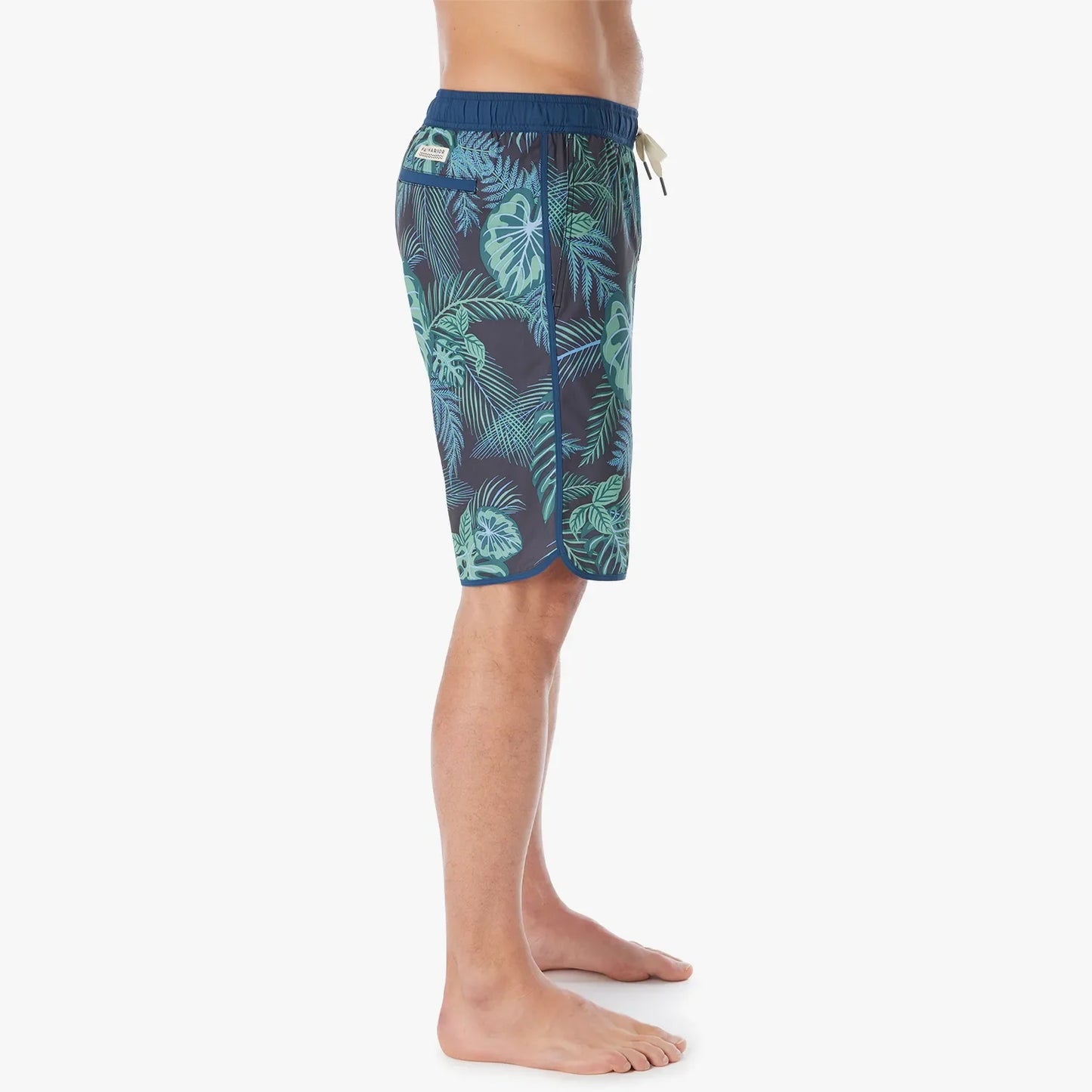  The Anchor | Navy Evergreen