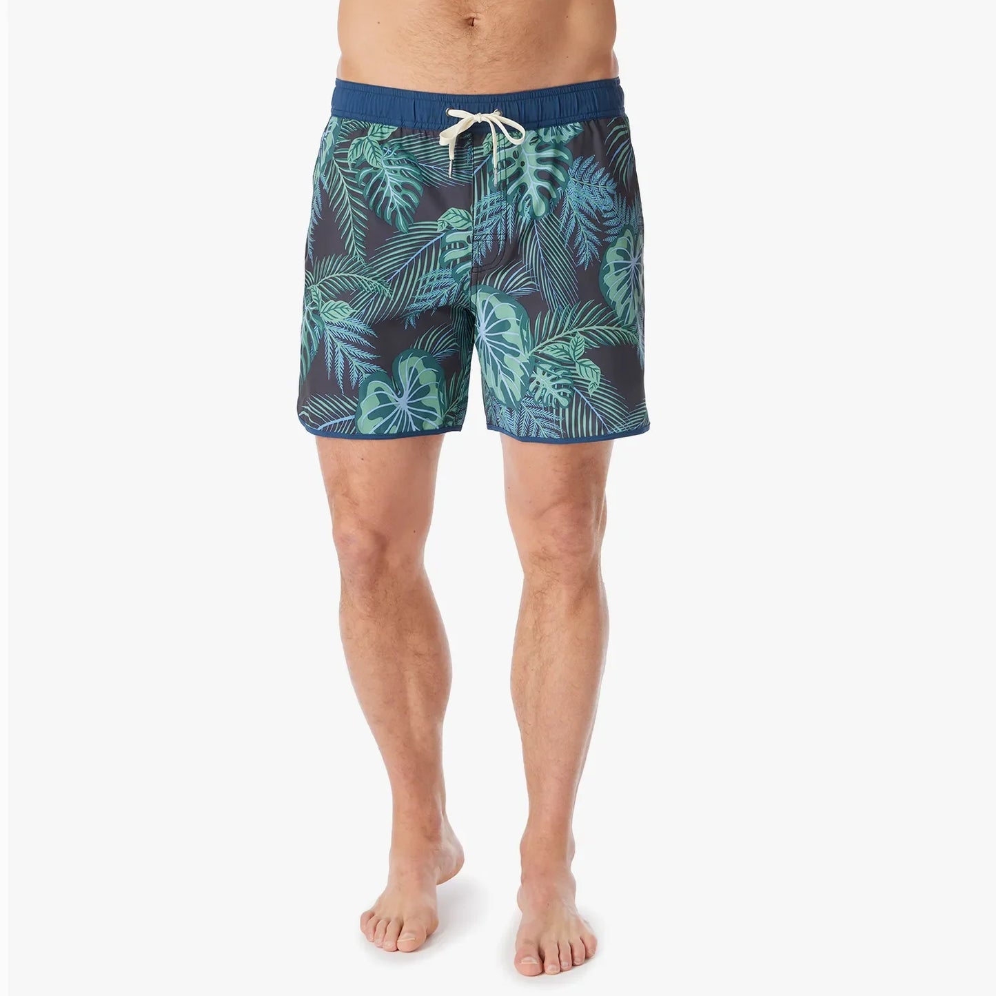  The Anchor | Navy Evergreen