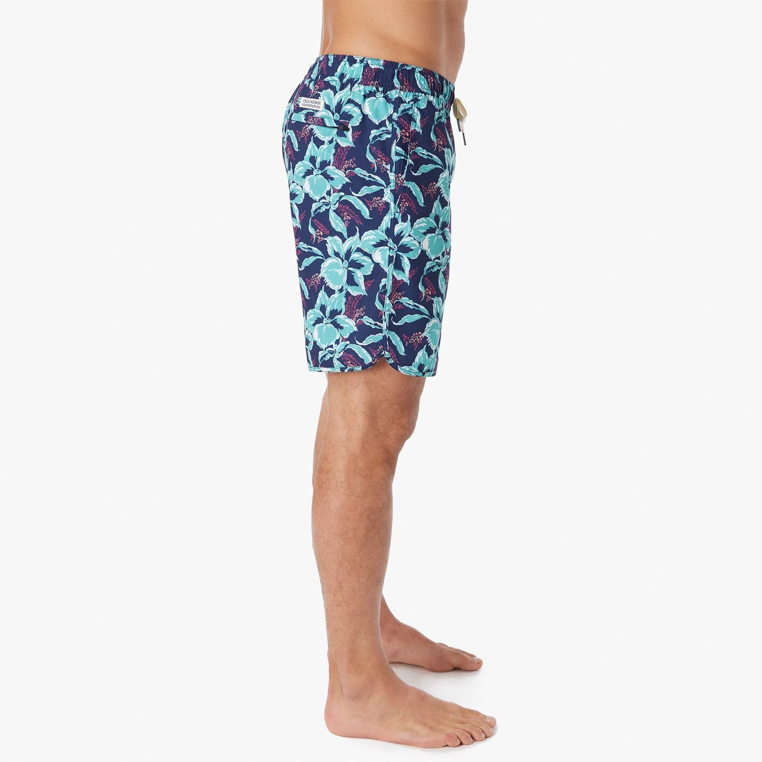  The Anchor | Lagoon Painted Tropical