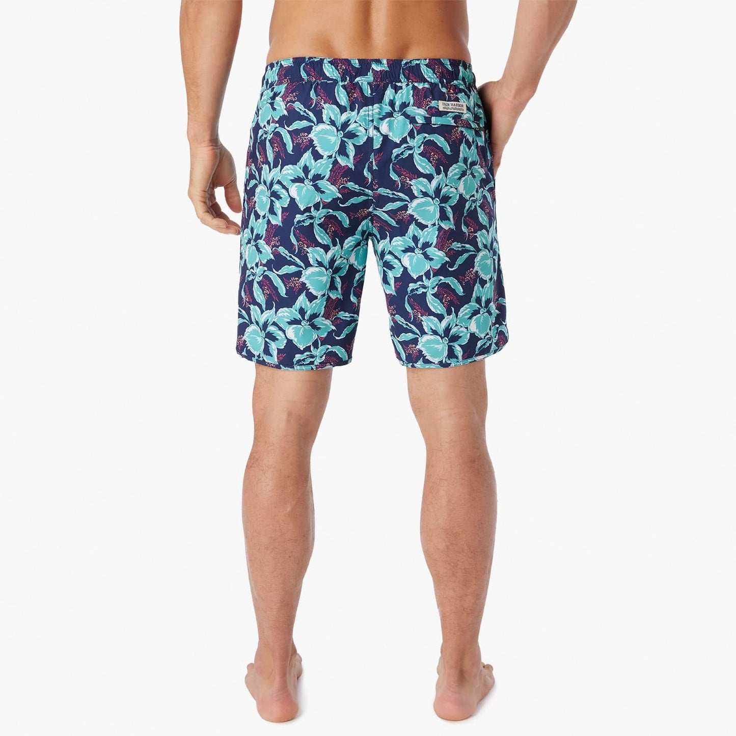  The Anchor | Lagoon Painted Tropical