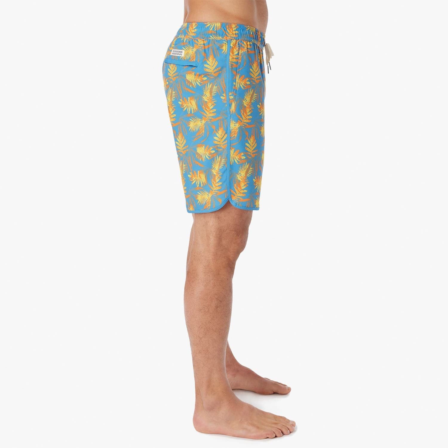  The Anchor | Sundrenched Palms