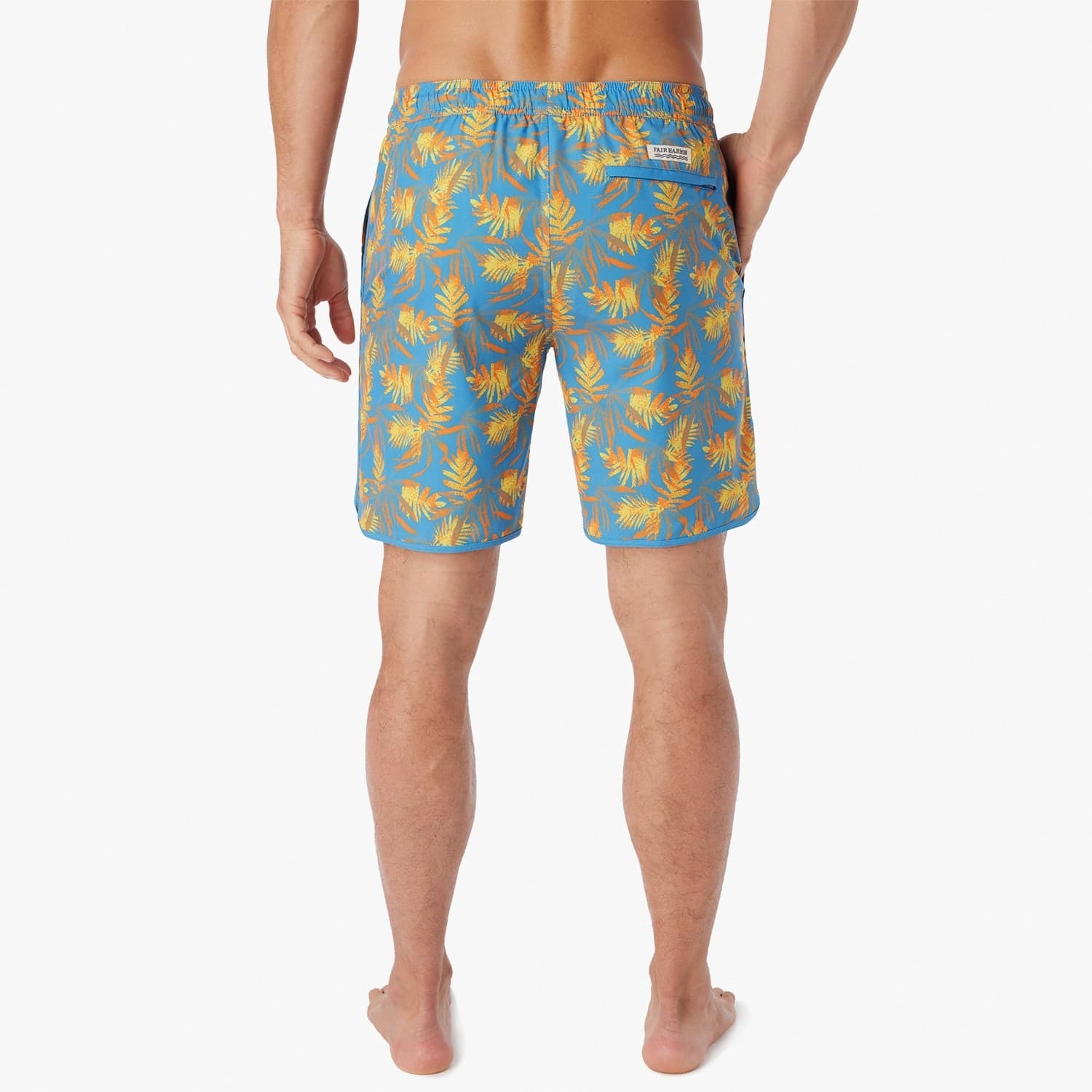  The Anchor | Sundrenched Palms