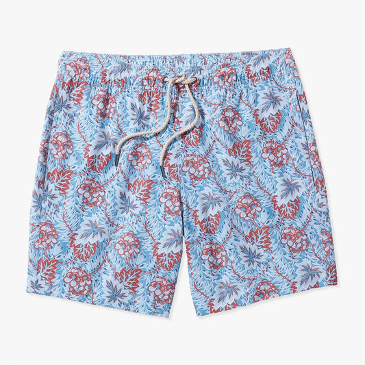  The Bayberry Trunk | Sky Blue Beach Forest