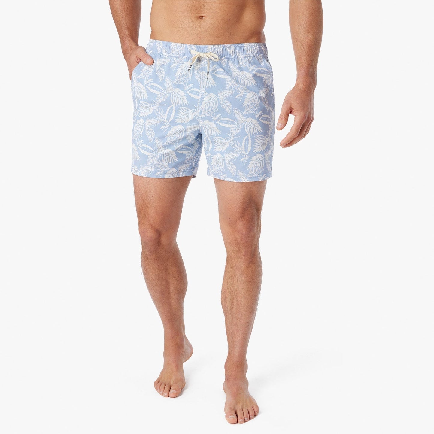  The Bungalow Trunk | Sky Blue Leaves