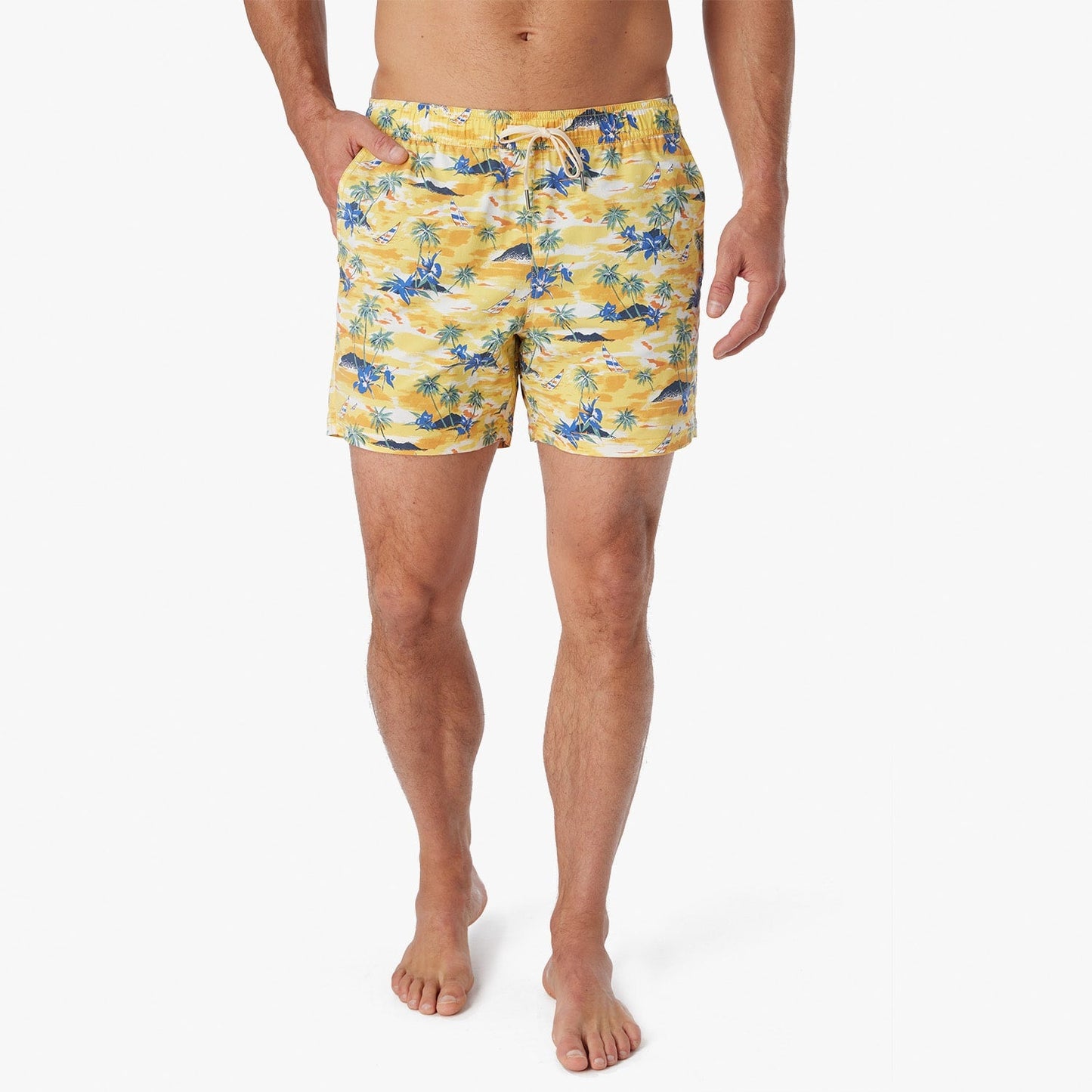  The Bungalow Trunk | Birds Of Paradise Windsail
