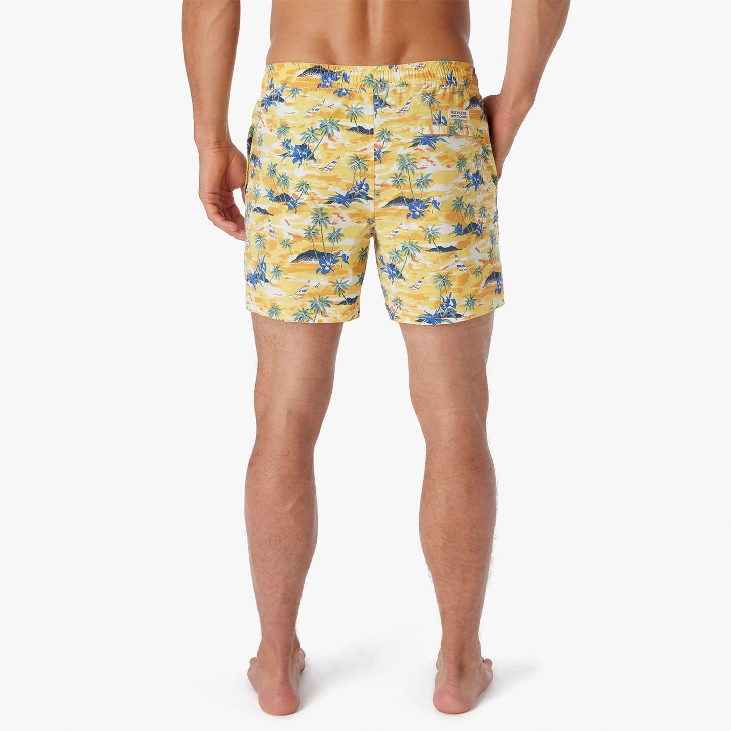  The Bungalow Trunk | Birds Of Paradise Windsail