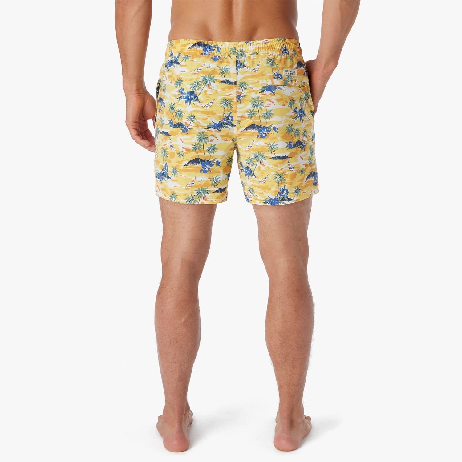  The Bungalow Trunk | Birds Of Paradise Windsail