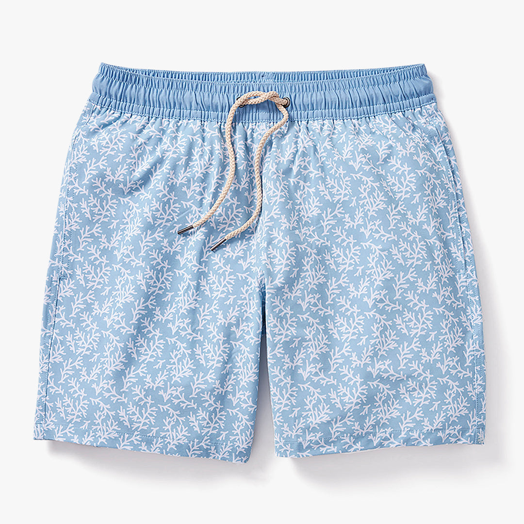  The Bayberry Trunk | Mist Seaweed