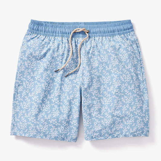  The Bayberry Trunk | Mist Seaweed