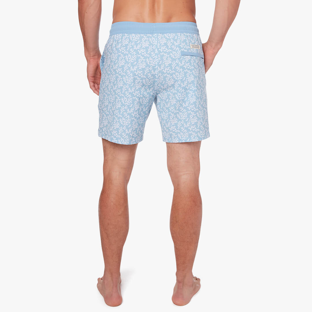  The Bayberry Trunk | Mist Seaweed