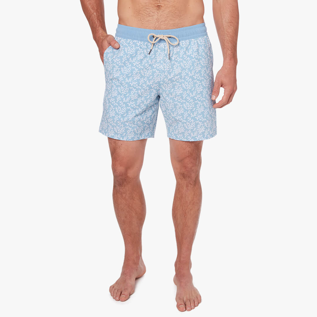  The Bayberry Trunk | Mist Seaweed