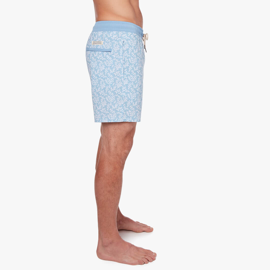  The Bayberry Trunk | Mist Seaweed