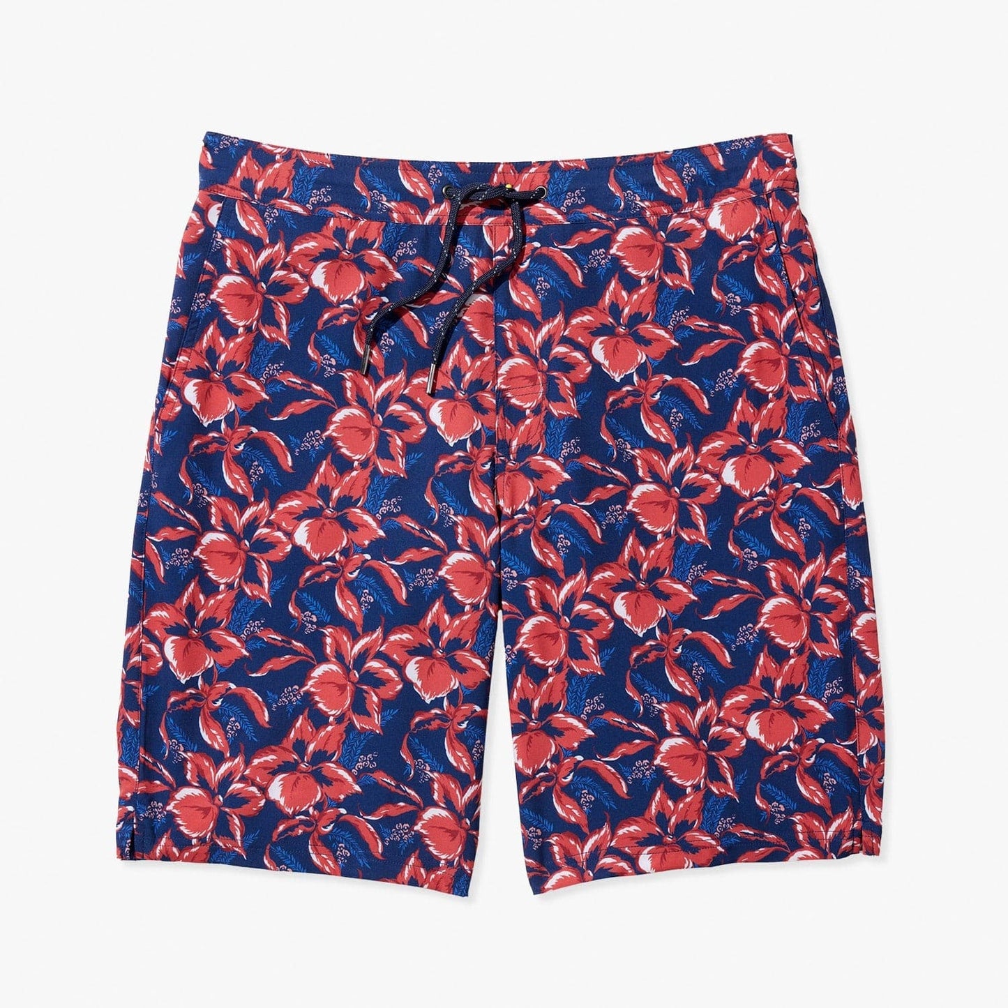  The Ozone | Nautical Painted Tropical