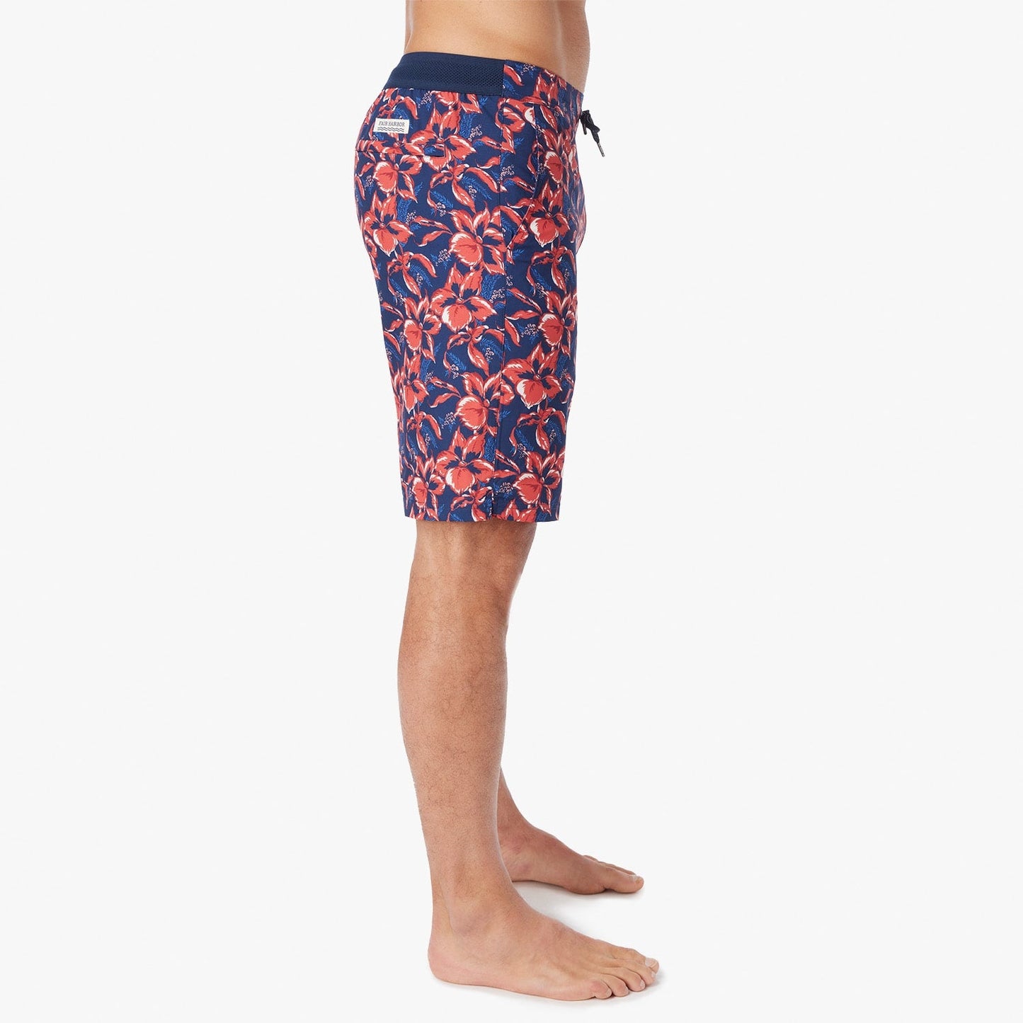  The Ozone | Nautical Painted Tropical