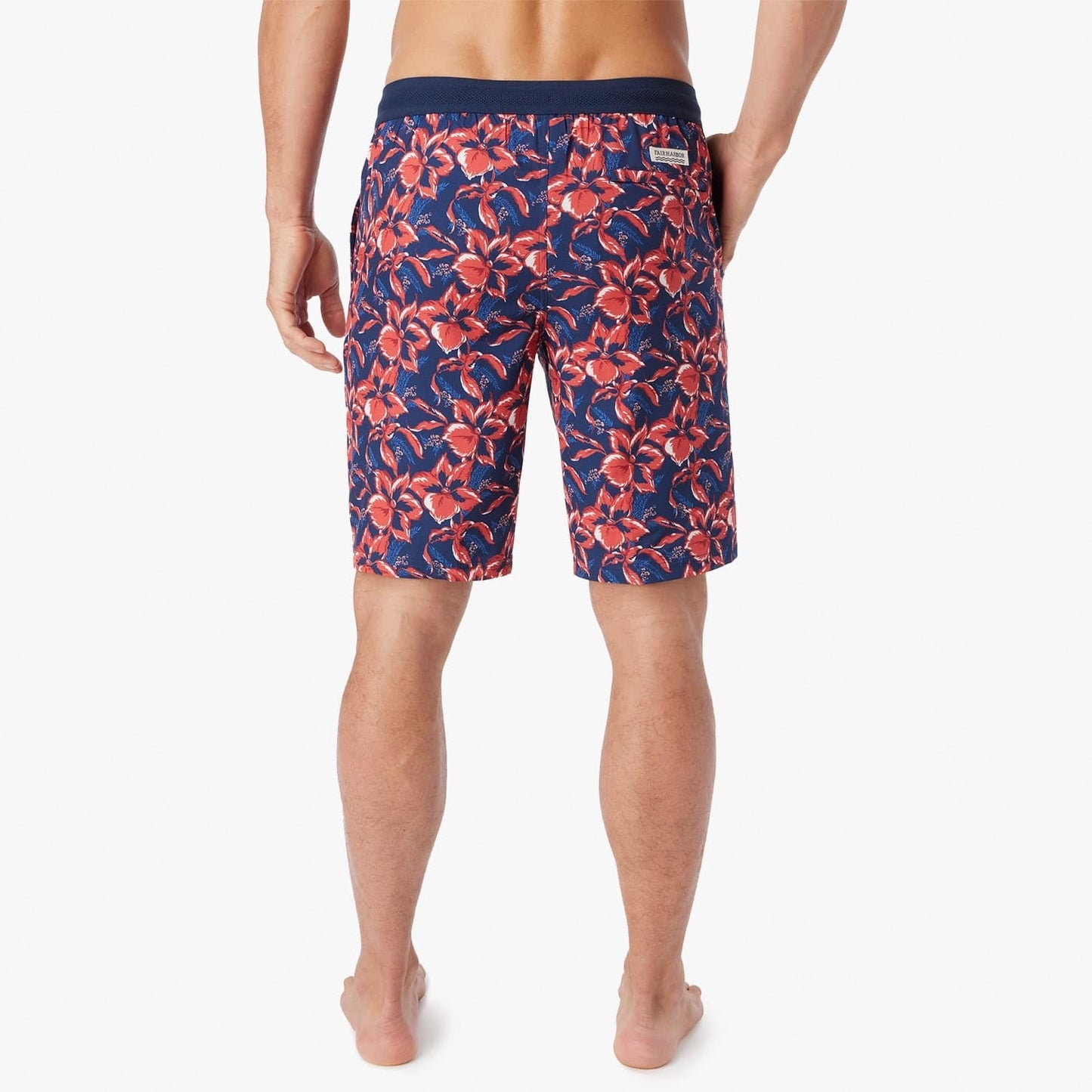  The Ozone | Nautical Painted Tropical