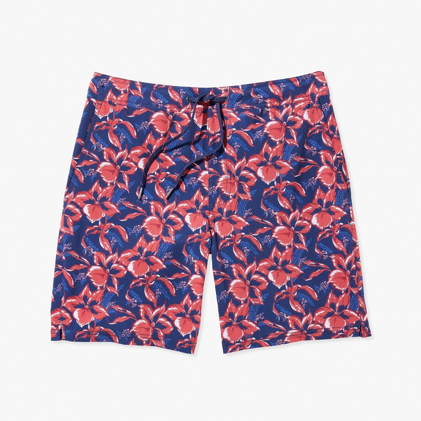  The Ozone | Nautical Painted Tropical