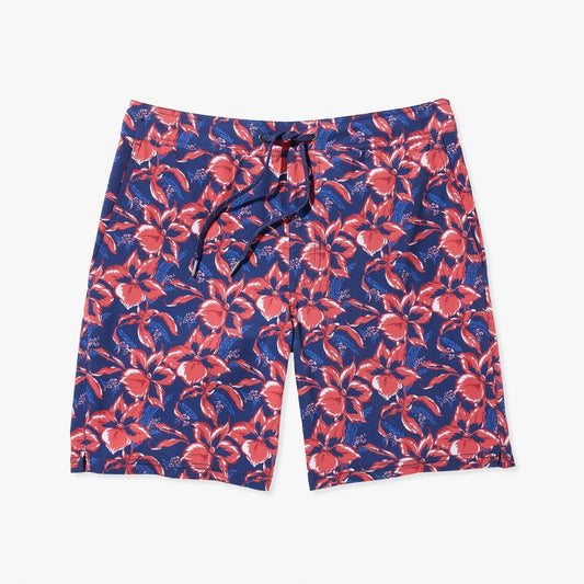  The Ozone | Nautical Painted Tropical