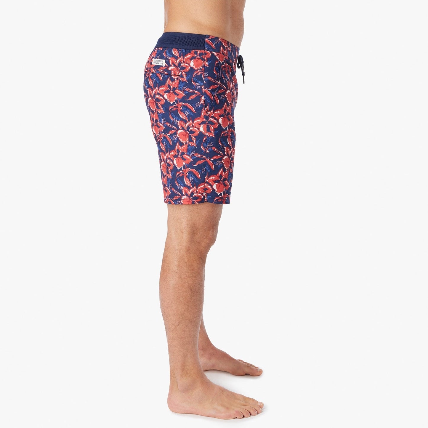  The Ozone | Nautical Painted Tropical