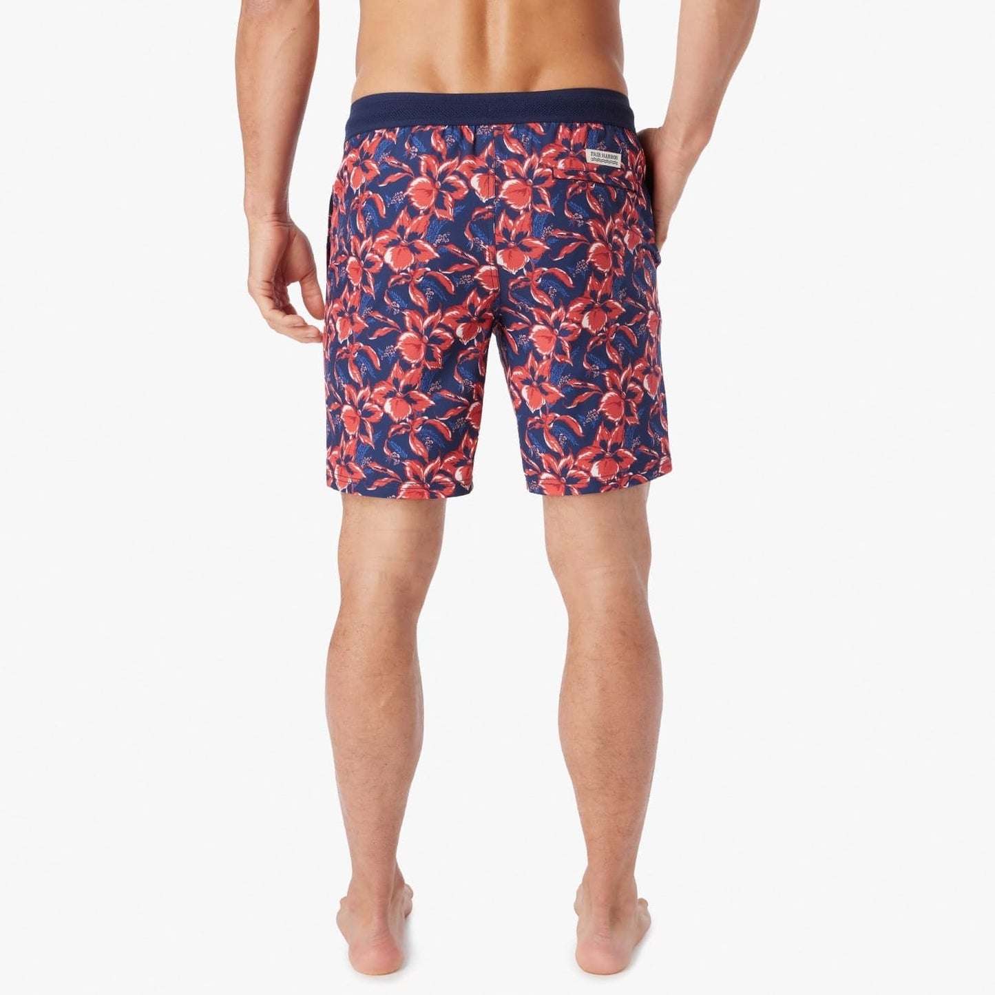  The Ozone | Nautical Painted Tropical