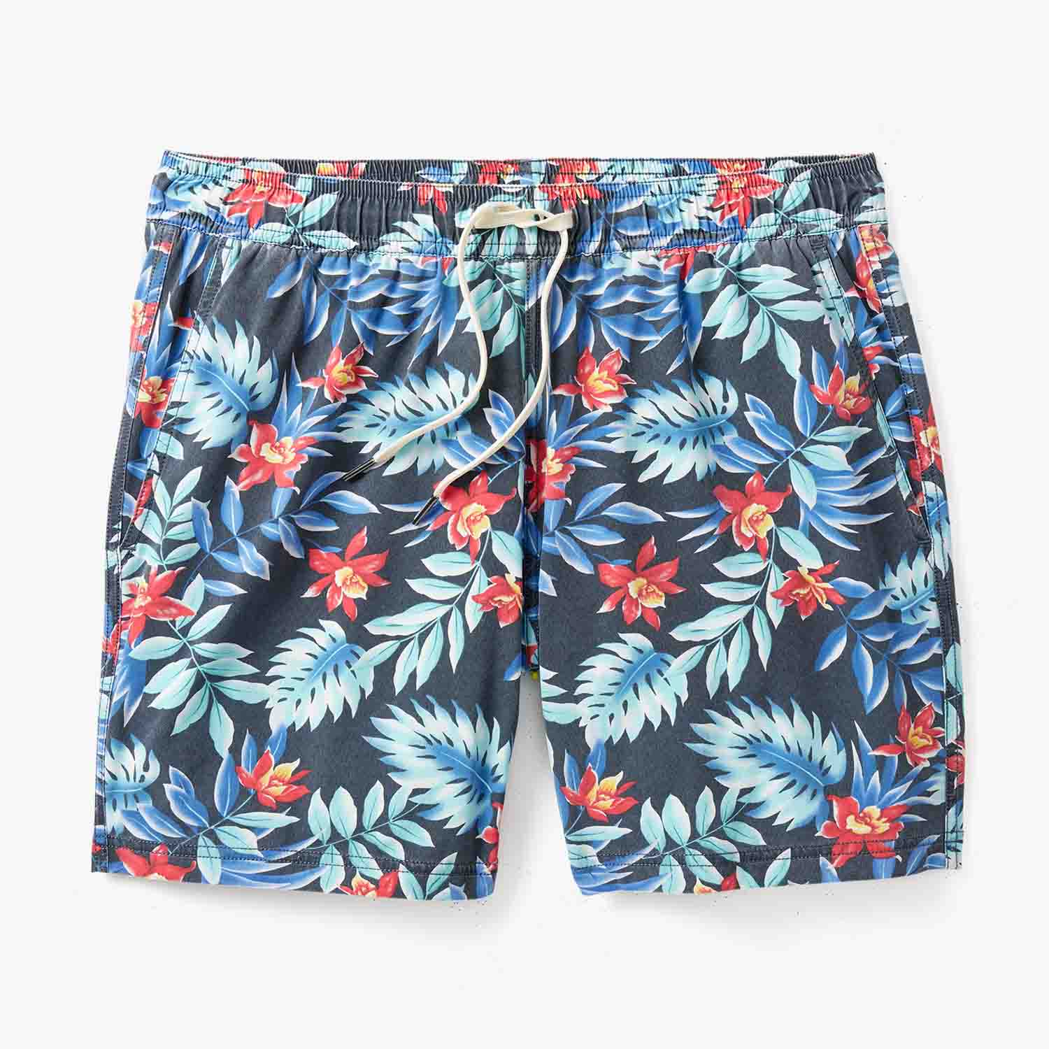  The Bungalow Trunk | Midnight Palms