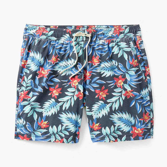  The Bungalow Trunk | Midnight Palms