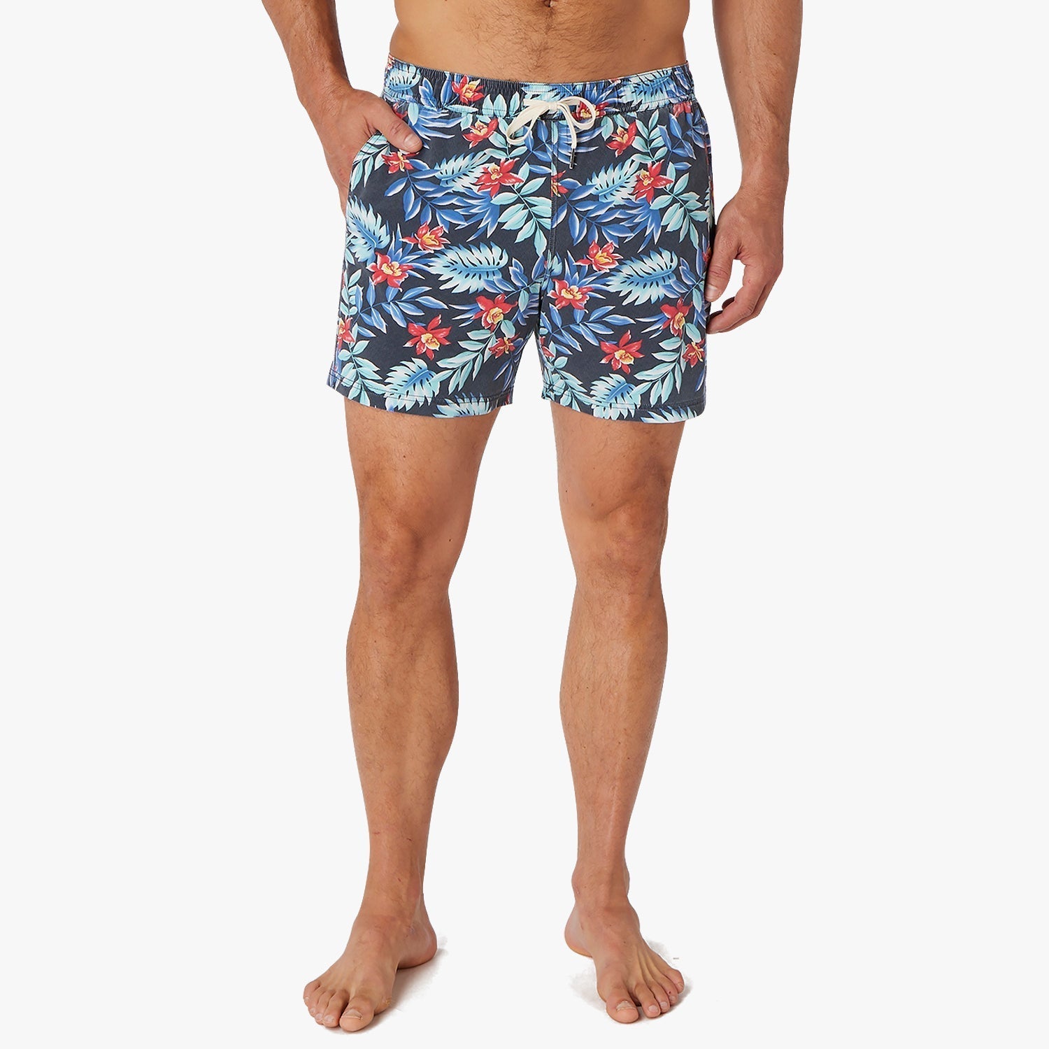  The Bungalow Trunk | Midnight Palms