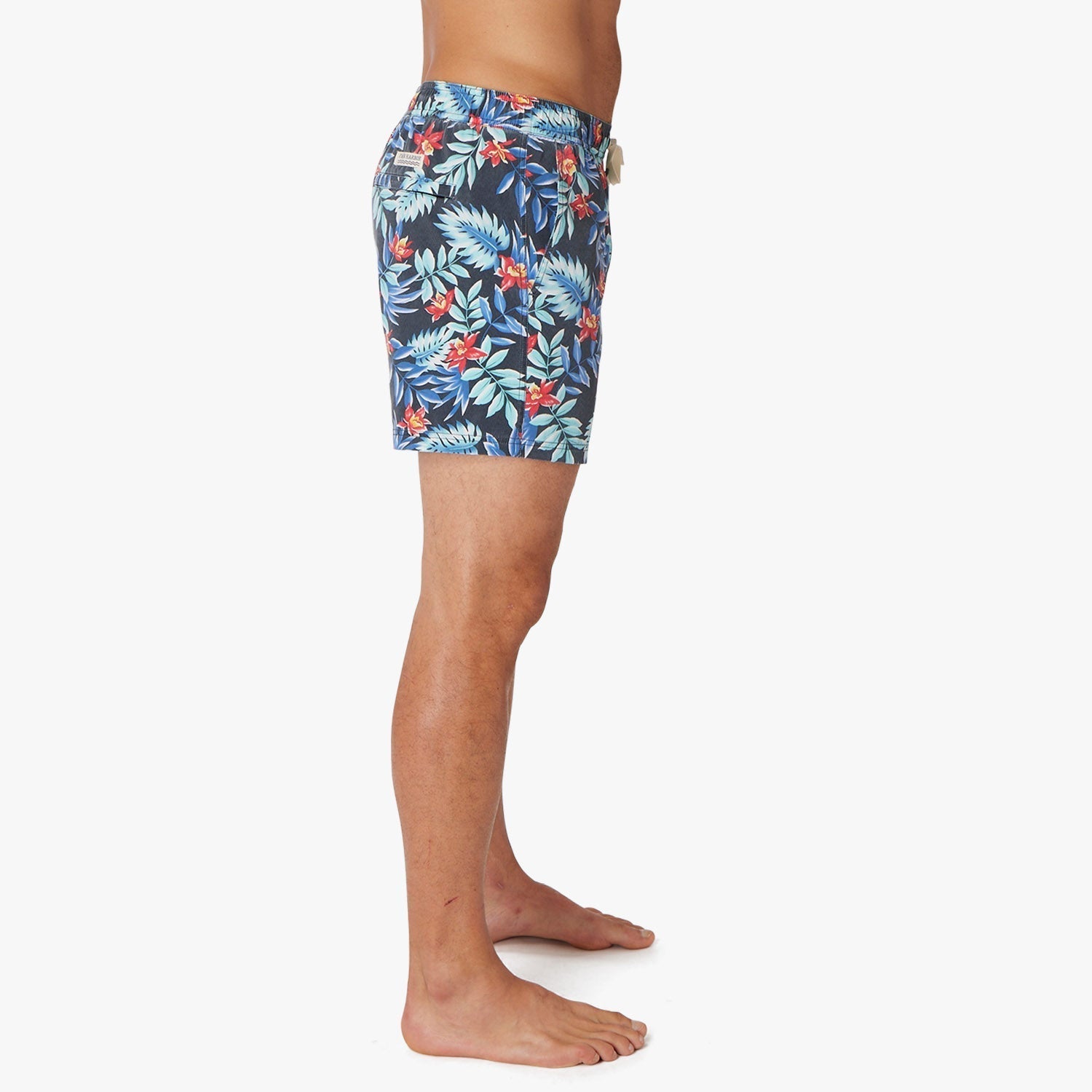  The Bungalow Trunk | Midnight Palms